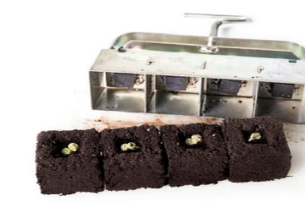 CD089 Presse motte M.jpg